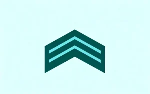 一期士官如何晋升二期士官：流程与衔知识详解